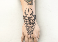 Schmetterling- Metamorphose