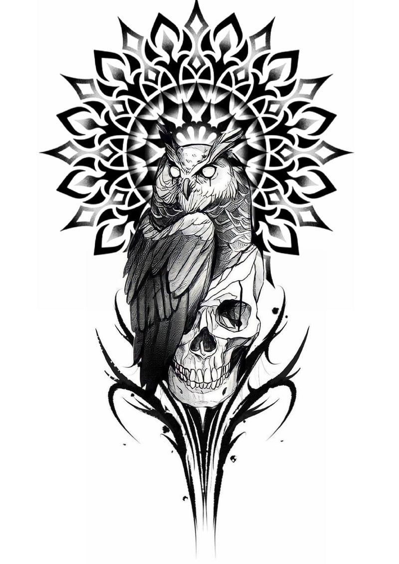 Eule mit Mandala- Umarmen des Lebens