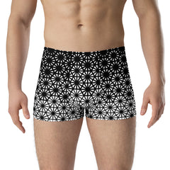 Geometric Line- Boxer