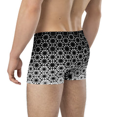 Geometric Line- Boxer