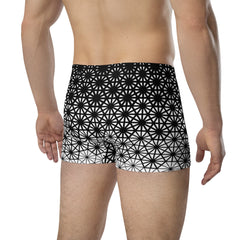 Geometric Line- Boxer