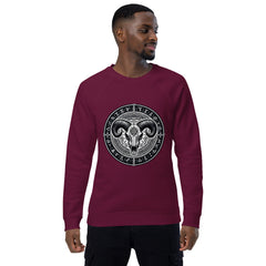 Viking Line- Bio-Raglan-Pullover